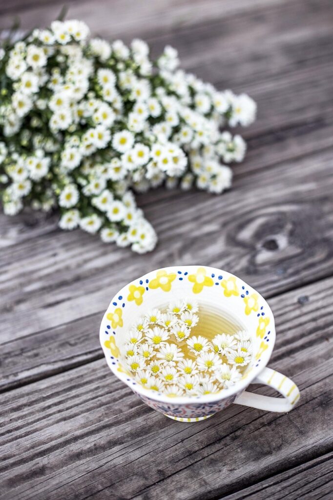 tea, cup, chamomile, chamomile flowers, nature, flower background, tea cup, chamomile tea, beautiful flowers, teacup, drink, beverage, bloom, blossom, flower wallpaper, flora, flowers, mug